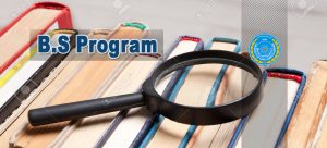Bs program