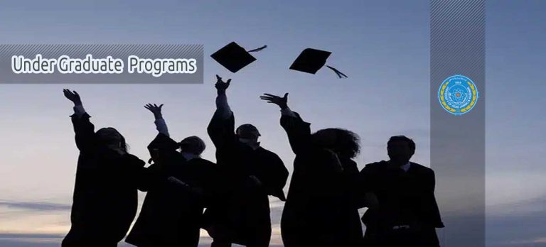 Under graduate program